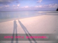 妖精の花 .wmv