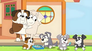 Winton And His Dad Moves In With The Terriers! - Bluey Season 4