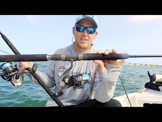 Daiwa BG MQ Review 