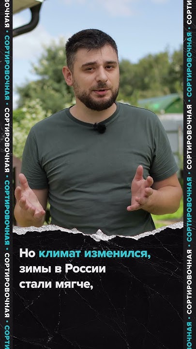Испанские слизни захватывают Россию - YouTube