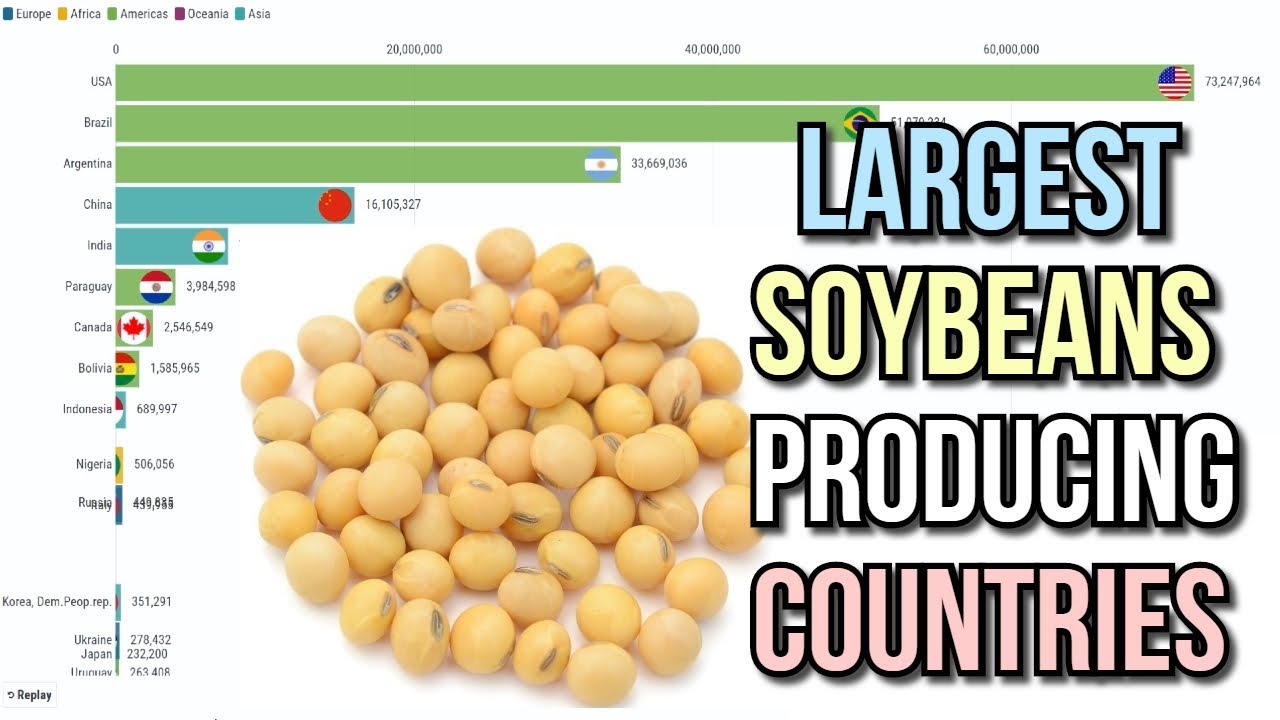 largest poducer of soy in the world