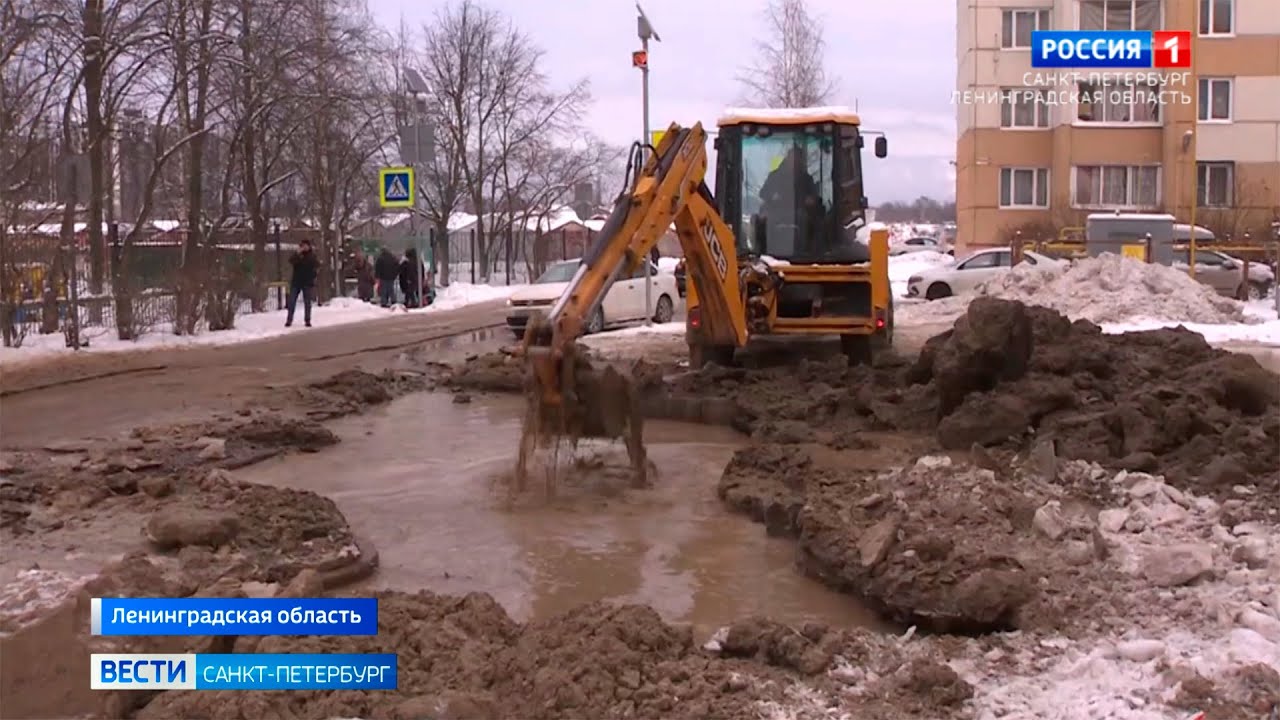 Гороскоп Павла Глобы На 2023 Рыбы