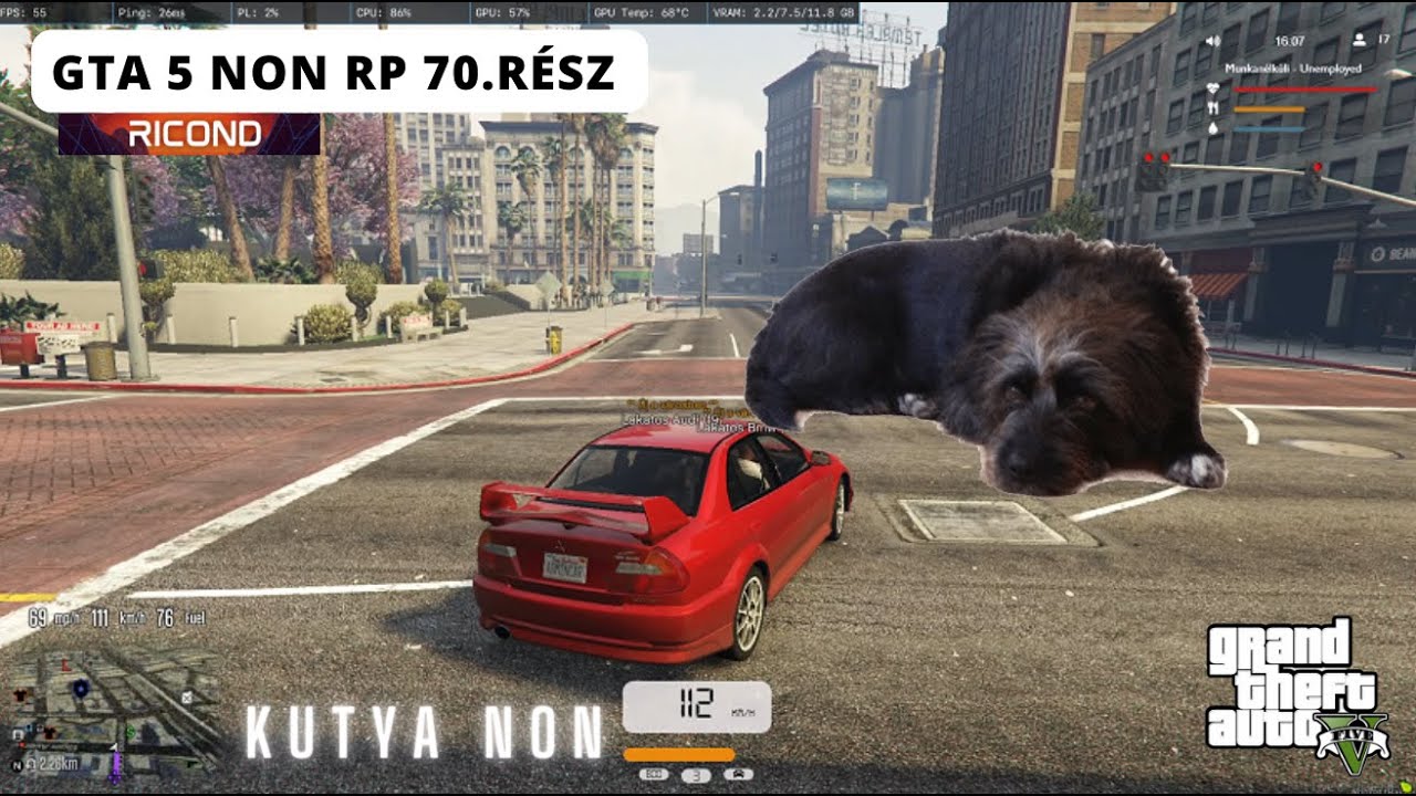 Gta 5 Non RP! Magyar szerver 70. rész. Boti kutyája nonozik