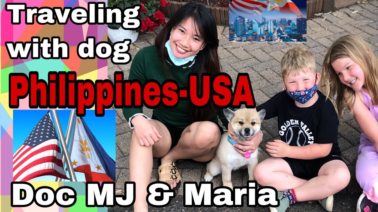 what is needed to bring a dog into the us