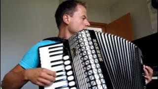 Download lagu Stereo Love on Accordion