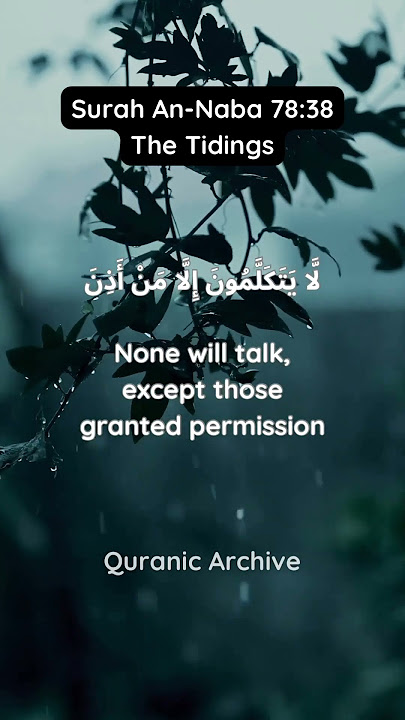 Today's Tilawat ★ Surah An-Naba