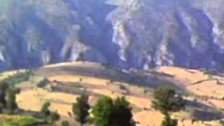 ALİ RIZA MUTU SEMAH.mpg