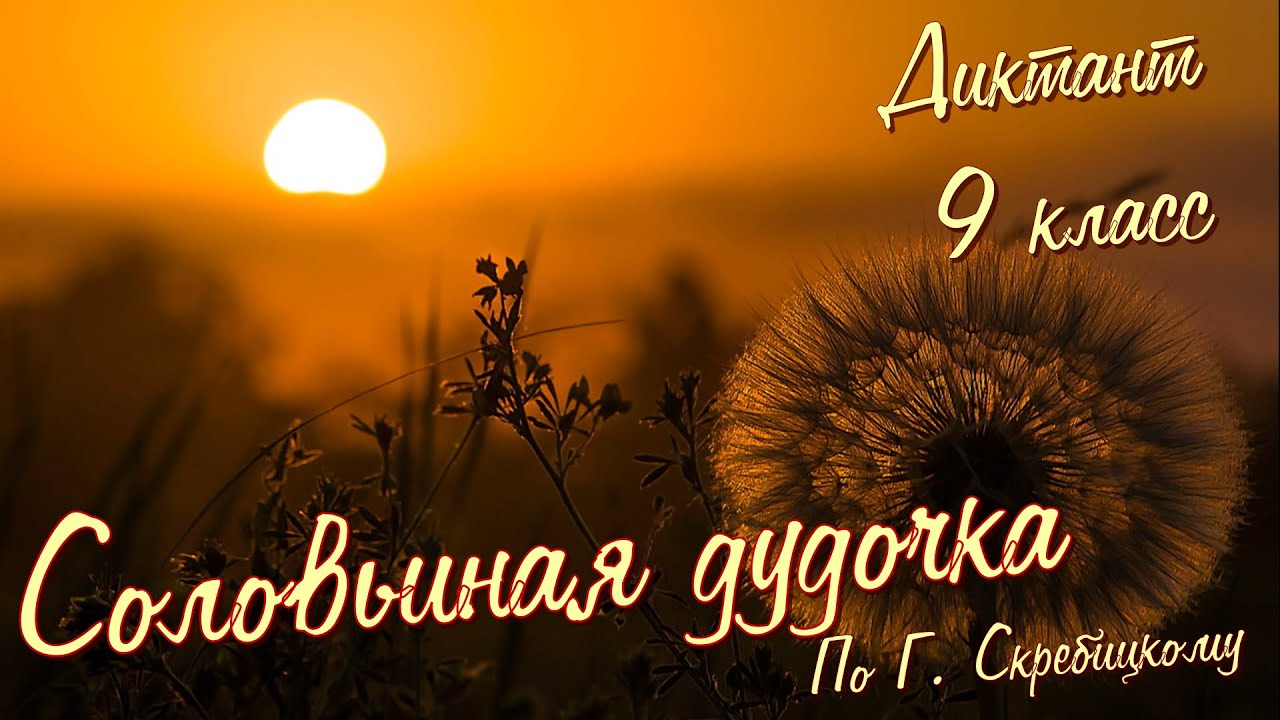 Диктант по русскому языку с проверкой! 9 класс. Соловьиная дудочка # ...