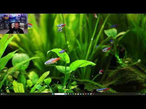 Akvaryumlarınızı Yorumluyorum Soru-Cevap