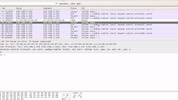 Advanced Telnet and SSH Security - Part I