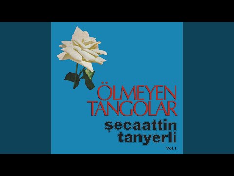 Sevdim Bir Genç
