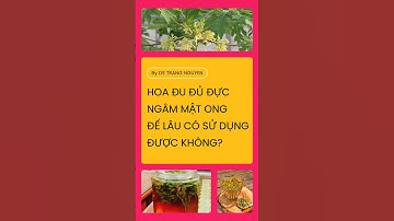 Hoa đu đủ đực ngâm mật ong để lâu có sử dụng được hay không?