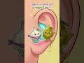 Traditional Remedy for Ear Discomfort | Garlic and Olive Oil #Shorts #EarDiscomfort #HomeRemedy