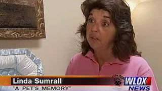 A Pet's Memory Pet Funeral Home & Crematory, LLC, Gulfport MS