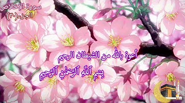 سورة الإخلاص مكررة ١٢ مرة بصوت القارئ فارس عباد🍃🌸