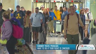 What to do if your flight gets canceled screenshot 2