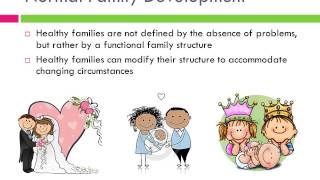 Structural approaches view of family development