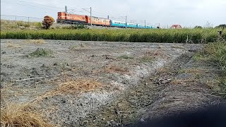 2020.10.31 蒸氣火車ck124通過6657B花壇(南)大鳴笛