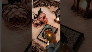 Islamic channel comment mein ab tak for