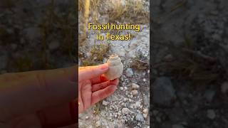 Hunting fossils in Fort Worth, Texas: fossil backpack haul and ancient treasures 🐚