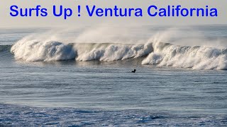 Surfs up in Ventura, California !! Surfers and pelicans riding the waves