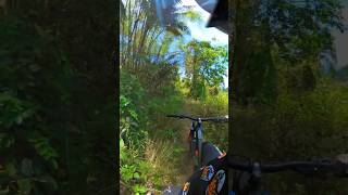 Track read - Stage 3 - Catmon Enduro 2026 #downhill #enduro #mtblife #transitionbikes