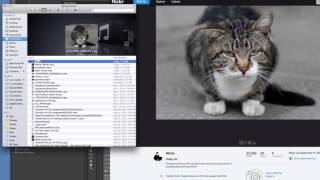 Downloading Creative Commons media for video projects