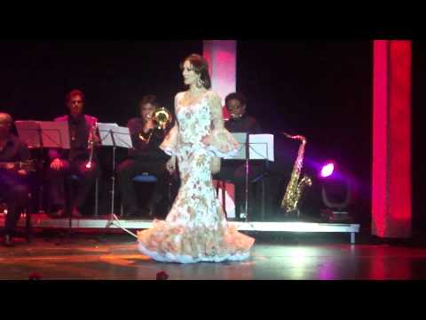 Arrieros Video