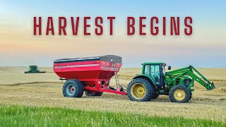 Wheat Harvest DAY 1 - Harvest BEGINS!