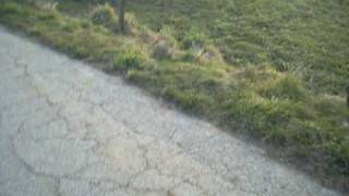 Pauline Et Mathilde 5