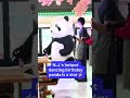 Dancing panda at N.J. hotpot restaurant