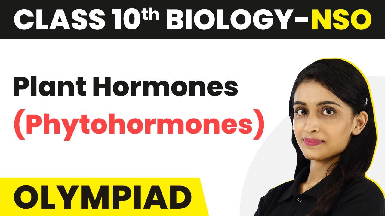 Plant Hormones (Phytohormones) Control & CoordinationClass 10
