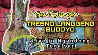 JANGER TRESNO LANGGENG BUDOYO  LIVE NGANDONG TEGALSARI,NOVITA Audio
