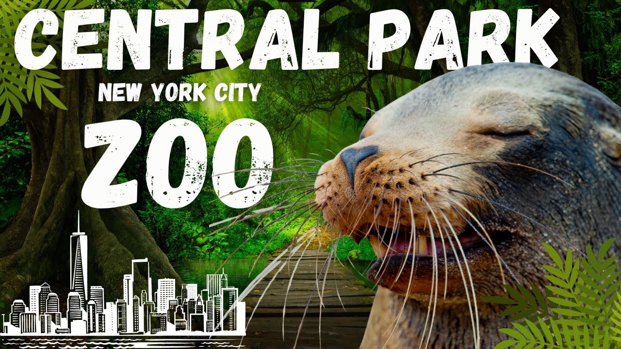 Central Park Zoo - Full Tour
