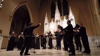 Stsc Salve Regina By Francesco Soriano