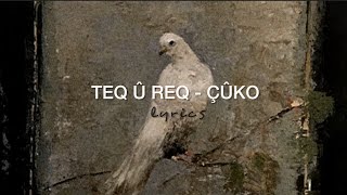 Teq Û Req - Çûko