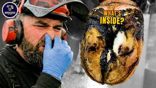 It SMELLED HORRIBLE… something was hidden DEEP inside!