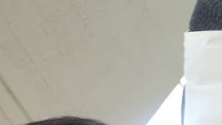 부활 주일 예배 live 20230409_김수영목사