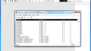 DigitalCAT 4 Starting and Editing a Job Dictionary