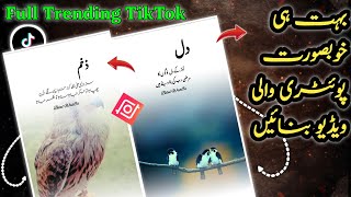 How To Make Trending White Fade Birds Poetry Video | Trending Urdu Lyrics Reels Video Editing screenshot 4