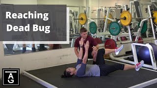 Reaching Dead Bug