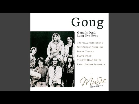 Mister Long Shanks O Mother I Am Your Fantasy