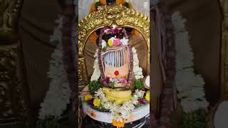 Markandeya Temple Visit – Divine Darshan of Shiva Lingam, Ganesha &amp; Ammavaru #shorts #viralshorts