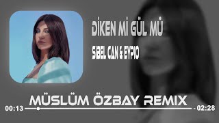 Sibel Can & Eypio - Diken Mi Gül Mü ( Müslüm Özbay Remix ) Sen Bülbüle Gel Resimi