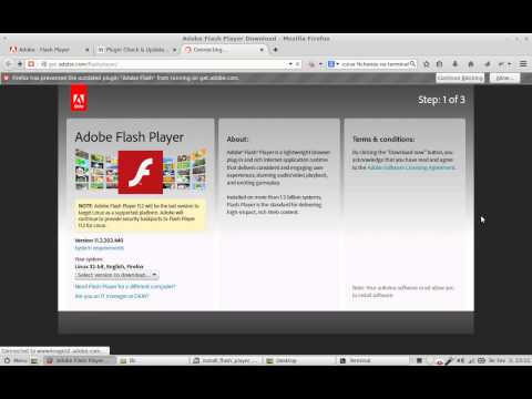 Actualizando o flashplayer. Update flashplayer. Linux Mint