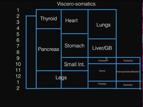 Viscerosomatic Reflex Chart