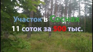 Участок в Соснах 11 соток за 500 тыс.