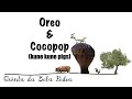 Bela Pedra, my Portuguese farm: Part 34 (Oreo and Cocopop the Kune Kune Pigs)