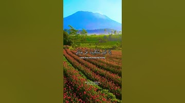 قرآن كريم القارئ صلاح بو خاطر