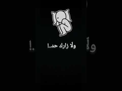 All Videos